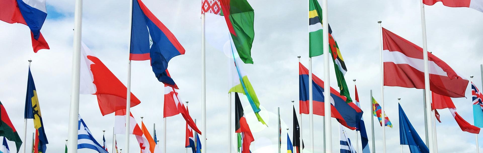 Multi-National Resilience and Wellbeing Research Collaboration (ResWell)