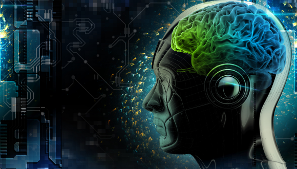  The Neuroscience of Resilience