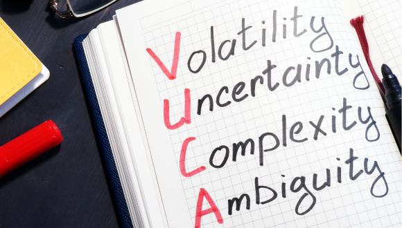 Resilience and Well-being in a VUCA/H World